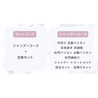 coupon photo