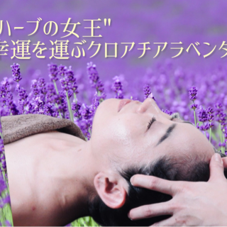 coupon photo