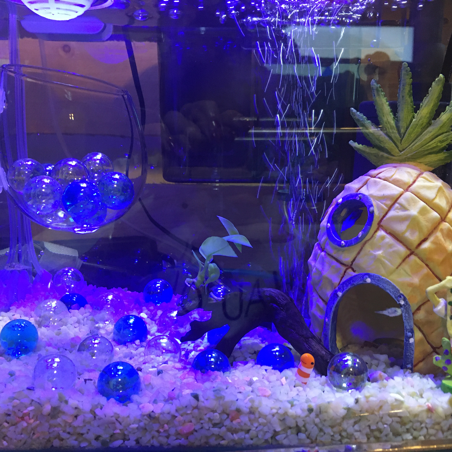 セリア 水槽のある部屋 Diy 流木インテリア 100均 などのインテリア実例 08 03 19 56 07 Roomclip ルームクリップ