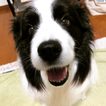 ronさんのお部屋