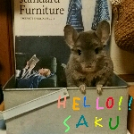 sakusaku