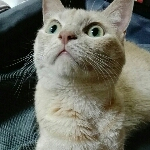 nana.maro