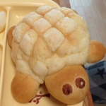 yumi.coroさんのお部屋