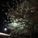 nyarome