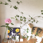 necocoさんのお部屋