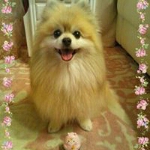 yuuandkoro