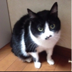 chirotanさんのお部屋