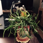 rintaroさんのお部屋