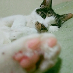 tenさんのお部屋