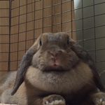 littlemomさんのお部屋