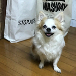 seroriさんのお部屋