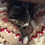 kimikimiさんのお部屋