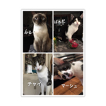 milkpandachaiさんのお部屋