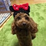 akokabuさんのお部屋