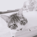 mikiさんのお部屋