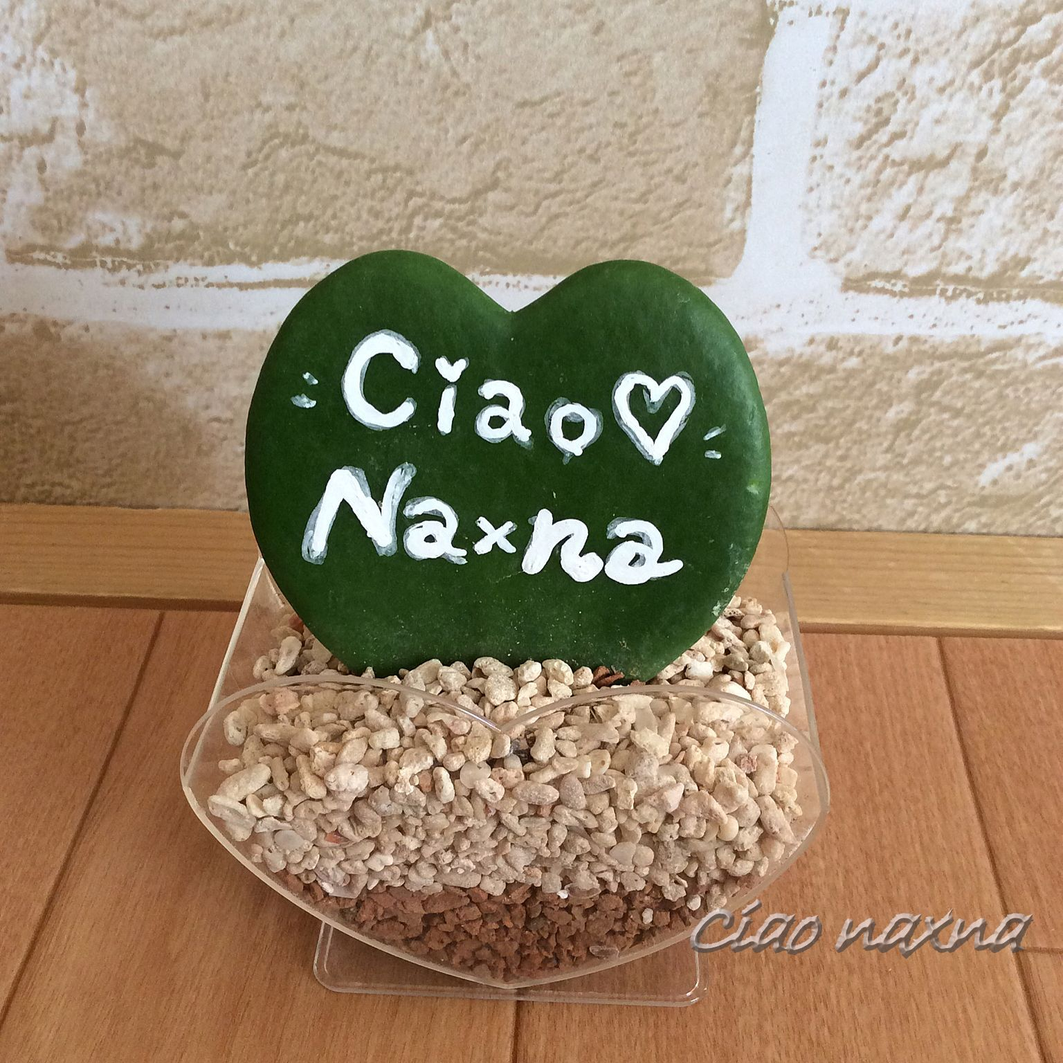 CiaoNaxna