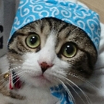 fukusukeさんのお部屋