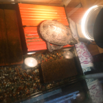 Tomoko.kさんのお部屋
