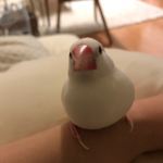 koro5oさんのお部屋