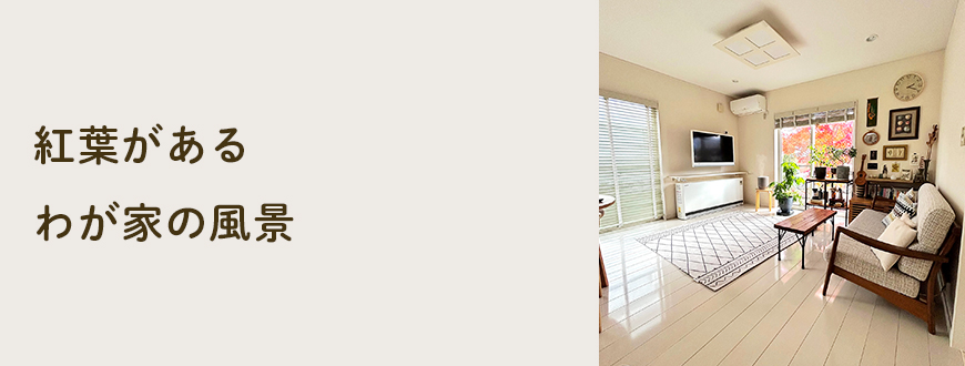 紅葉があるわが家の風景