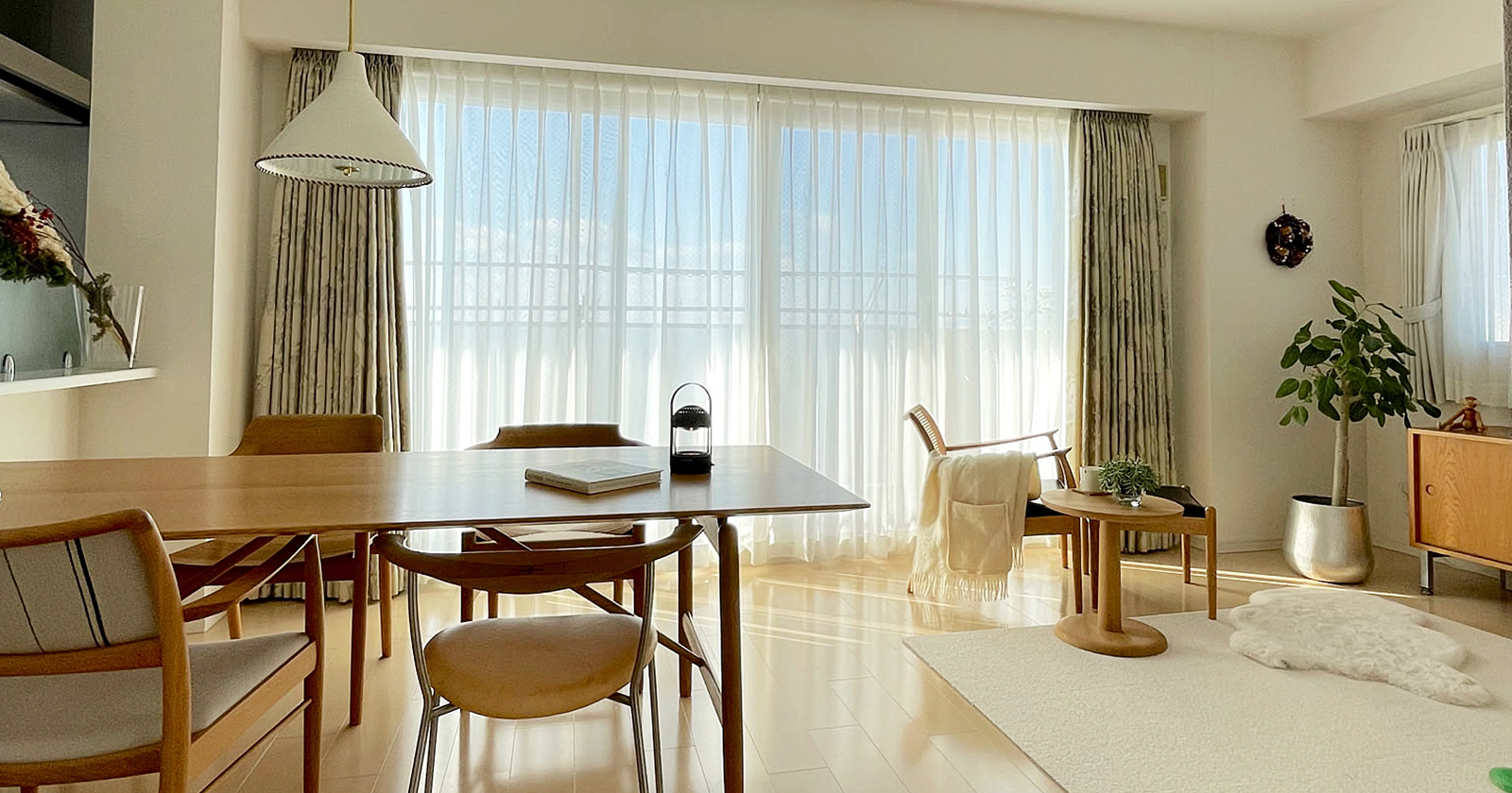 2025年を振り返ろう！わが家の1枚