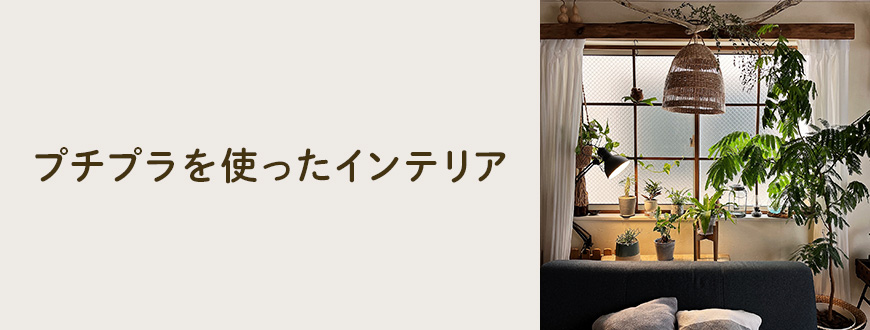 プチプラを使ったインテリア