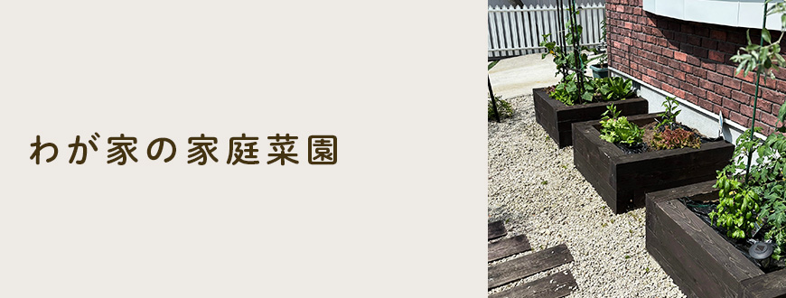 わが家の家庭菜園