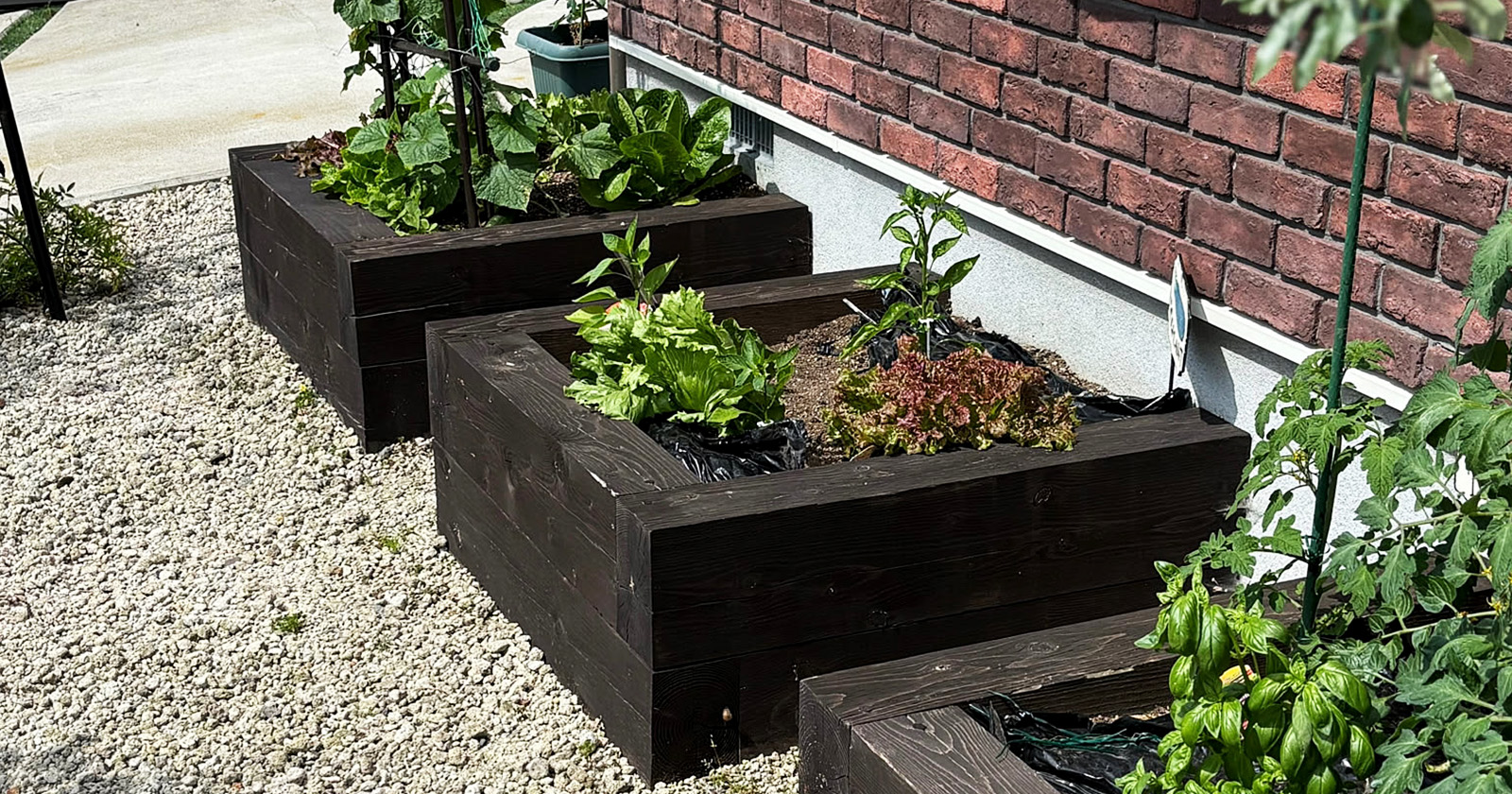 わが家の家庭菜園