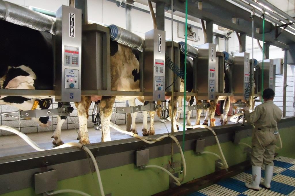 アルゼンチンの森林破壊: 原因と結果 - アルゼンチンの森林破壊の原因