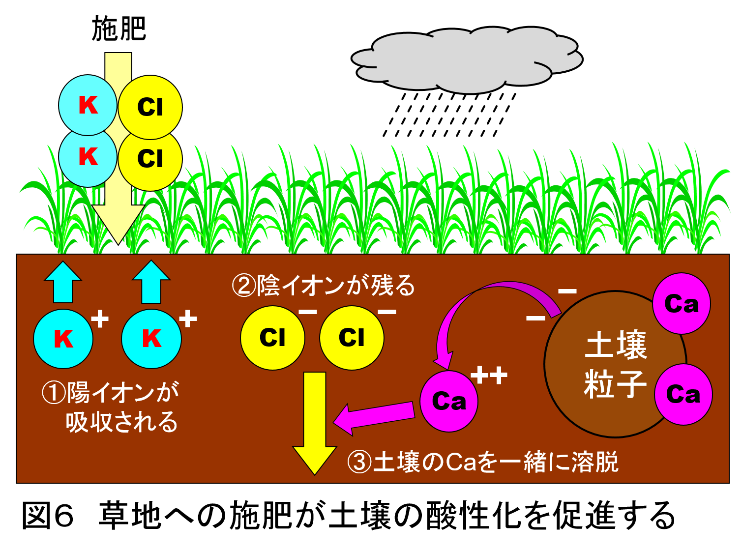 草地の土づくり 第２回 草地土壌の特徴 酪農ジャーナル電子版 酪農plus