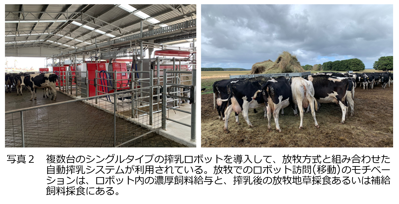 日本における搾乳ロボットの普及と地域による利用特性 酪農ジャーナル電子版 酪農plus