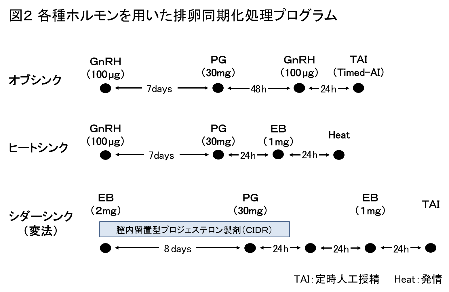 2024 年の繁殖期および繁殖期におけるリードの要件: これは犬の飼い主として知っておくべきことです