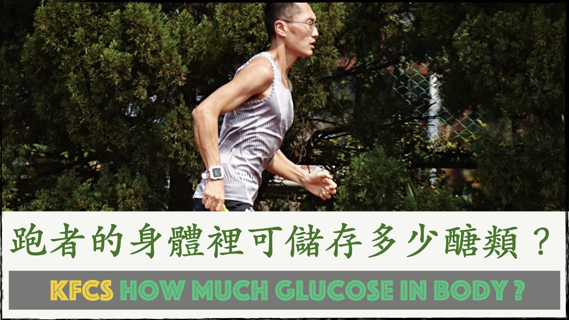 跑者的身體裡可儲存多少醣類?