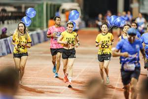 BIB: 
                            <button type="button" onclick="openModal(18756230)" class="btn btn-primary btn-sm float-right btn-popup" data-toggle="modal" data-target=".modal-high-quality">
                        <i class="fas fa-shopping-cart"></i> Add to Cart
                    </button>
                                            <button type="button" onclick="isThisMe(18756230, true)" class="btn btn-success btn-sm float-right btn-popup btn-isme hidden" data-toggle="tooltip" data-placement="bottom" title="นี่คือรูปของคุณใช่ไหม คลิกที่นี่เพื่อเอาเข้าอัลบั้ม">
                        <i class="fas fa-plus"></i> Add to album
                    </button>
                    <button type="button" onclick="isThisMe(18756230, false)" class="btn btn-warning btn-sm float-right btn-popup btn-isnotme hidden">
                        <i class="fas fa-ban"></i> Remove from album
                    </button>