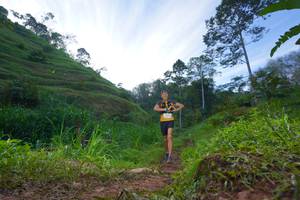 BIB: 
                            <button type="button" onclick="openModal(21848221)" class="btn btn-primary btn-sm float-right btn-popup" data-toggle="modal" data-target=".modal-high-quality">
                        <i class="fas fa-shopping-cart"></i> Add to Cart
                    </button>
                                            <button type="button" onclick="isThisMe(21848221, true)" class="btn btn-success btn-sm float-right btn-popup btn-isme hidden" data-toggle="tooltip" data-placement="bottom" title="นี่คือรูปของคุณใช่ไหม คลิกที่นี่เพื่อเอาเข้าอัลบั้ม">
                        <i class="fas fa-plus"></i> Add to album
                    </button>
                    <button type="button" onclick="isThisMe(21848221, false)" class="btn btn-warning btn-sm float-right btn-popup btn-isnotme hidden">
                        <i class="fas fa-ban"></i> Remove from album
                    </button>