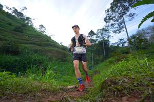 BIB: 2239
                            <button type="button" onclick="openModal(21848832)" class="btn btn-primary btn-sm float-right btn-popup" data-toggle="modal" data-target=".modal-high-quality">
                        <i class="fas fa-shopping-cart"></i> Add to Cart
                    </button>
                                            <button type="button" onclick="isThisMe(21848832, true)" class="btn btn-success btn-sm float-right btn-popup btn-isme hidden" data-toggle="tooltip" data-placement="bottom" title="นี่คือรูปของคุณใช่ไหม คลิกที่นี่เพื่อเอาเข้าอัลบั้ม">
                        <i class="fas fa-plus"></i> Add to album
                    </button>
                    <button type="button" onclick="isThisMe(21848832, false)" class="btn btn-warning btn-sm float-right btn-popup btn-isnotme hidden">
                        <i class="fas fa-ban"></i> Remove from album
                    </button>