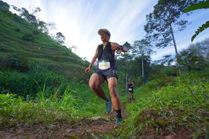 BIB: 2004
                            <button type="button" onclick="openModal(21847906)" class="btn btn-primary btn-sm float-right btn-popup" data-toggle="modal" data-target=".modal-high-quality">
                        <i class="fas fa-shopping-cart"></i> Add to Cart
                    </button>
                                            <button type="button" onclick="isThisMe(21847906, true)" class="btn btn-success btn-sm float-right btn-popup btn-isme hidden" data-toggle="tooltip" data-placement="bottom" title="นี่คือรูปของคุณใช่ไหม คลิกที่นี่เพื่อเอาเข้าอัลบั้ม">
                        <i class="fas fa-plus"></i> Add to album
                    </button>
                    <button type="button" onclick="isThisMe(21847906, false)" class="btn btn-warning btn-sm float-right btn-popup btn-isnotme hidden">
                        <i class="fas fa-ban"></i> Remove from album
                    </button>