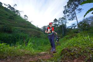 BIB: 
                            <button type="button" onclick="openModal(21848482)" class="btn btn-primary btn-sm float-right btn-popup" data-toggle="modal" data-target=".modal-high-quality">
                        <i class="fas fa-shopping-cart"></i> Add to Cart
                    </button>
                                            <button type="button" onclick="isThisMe(21848482, true)" class="btn btn-success btn-sm float-right btn-popup btn-isme hidden" data-toggle="tooltip" data-placement="bottom" title="นี่คือรูปของคุณใช่ไหม คลิกที่นี่เพื่อเอาเข้าอัลบั้ม">
                        <i class="fas fa-plus"></i> Add to album
                    </button>
                    <button type="button" onclick="isThisMe(21848482, false)" class="btn btn-warning btn-sm float-right btn-popup btn-isnotme hidden">
                        <i class="fas fa-ban"></i> Remove from album
                    </button>