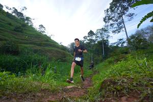 BIB: 
                            <button type="button" onclick="openModal(21848843)" class="btn btn-primary btn-sm float-right btn-popup" data-toggle="modal" data-target=".modal-high-quality">
                        <i class="fas fa-shopping-cart"></i> Add to Cart
                    </button>
                                            <button type="button" onclick="isThisMe(21848843, true)" class="btn btn-success btn-sm float-right btn-popup btn-isme hidden" data-toggle="tooltip" data-placement="bottom" title="นี่คือรูปของคุณใช่ไหม คลิกที่นี่เพื่อเอาเข้าอัลบั้ม">
                        <i class="fas fa-plus"></i> Add to album
                    </button>
                    <button type="button" onclick="isThisMe(21848843, false)" class="btn btn-warning btn-sm float-right btn-popup btn-isnotme hidden">
                        <i class="fas fa-ban"></i> Remove from album
                    </button>