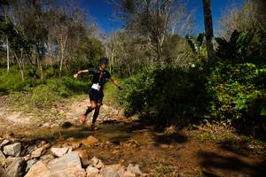 BIB: 
                            <button type="button" onclick="openModal(21797417)" class="btn btn-primary btn-sm float-right btn-popup" data-toggle="modal" data-target=".modal-high-quality">
                        <i class="fas fa-shopping-cart"></i> Add to Cart
                    </button>
                                            <button type="button" onclick="isThisMe(21797417, true)" class="btn btn-success btn-sm float-right btn-popup btn-isme hidden" data-toggle="tooltip" data-placement="bottom" title="นี่คือรูปของคุณใช่ไหม คลิกที่นี่เพื่อเอาเข้าอัลบั้ม">
                        <i class="fas fa-plus"></i> Add to album
                    </button>
                    <button type="button" onclick="isThisMe(21797417, false)" class="btn btn-warning btn-sm float-right btn-popup btn-isnotme hidden">
                        <i class="fas fa-ban"></i> Remove from album
                    </button>