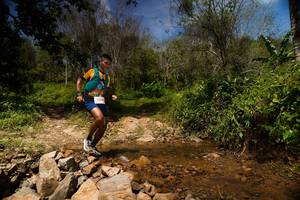 BIB: 3040
                            <button type="button" onclick="openModal(21798538)" class="btn btn-primary btn-sm float-right btn-popup" data-toggle="modal" data-target=".modal-high-quality">
                        <i class="fas fa-shopping-cart"></i> Add to Cart
                    </button>
                                            <button type="button" onclick="isThisMe(21798538, true)" class="btn btn-success btn-sm float-right btn-popup btn-isme hidden" data-toggle="tooltip" data-placement="bottom" title="นี่คือรูปของคุณใช่ไหม คลิกที่นี่เพื่อเอาเข้าอัลบั้ม">
                        <i class="fas fa-plus"></i> Add to album
                    </button>
                    <button type="button" onclick="isThisMe(21798538, false)" class="btn btn-warning btn-sm float-right btn-popup btn-isnotme hidden">
                        <i class="fas fa-ban"></i> Remove from album
                    </button>