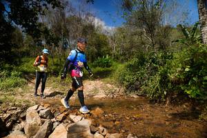 BIB: 
                            <button type="button" onclick="openModal(21798382)" class="btn btn-primary btn-sm float-right btn-popup" data-toggle="modal" data-target=".modal-high-quality">
                        <i class="fas fa-shopping-cart"></i> Add to Cart
                    </button>
                                            <button type="button" onclick="isThisMe(21798382, true)" class="btn btn-success btn-sm float-right btn-popup btn-isme hidden" data-toggle="tooltip" data-placement="bottom" title="นี่คือรูปของคุณใช่ไหม คลิกที่นี่เพื่อเอาเข้าอัลบั้ม">
                        <i class="fas fa-plus"></i> Add to album
                    </button>
                    <button type="button" onclick="isThisMe(21798382, false)" class="btn btn-warning btn-sm float-right btn-popup btn-isnotme hidden">
                        <i class="fas fa-ban"></i> Remove from album
                    </button>