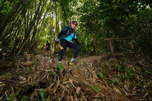 BIB: 
                            <button type="button" onclick="openModal(21736109)" class="btn btn-primary btn-sm float-right btn-popup" data-toggle="modal" data-target=".modal-high-quality">
                        <i class="fas fa-shopping-cart"></i> Add to Cart
                    </button>
                                            <button type="button" onclick="isThisMe(21736109, true)" class="btn btn-success btn-sm float-right btn-popup btn-isme hidden" data-toggle="tooltip" data-placement="bottom" title="นี่คือรูปของคุณใช่ไหม คลิกที่นี่เพื่อเอาเข้าอัลบั้ม">
                        <i class="fas fa-plus"></i> Add to album
                    </button>
                    <button type="button" onclick="isThisMe(21736109, false)" class="btn btn-warning btn-sm float-right btn-popup btn-isnotme hidden">
                        <i class="fas fa-ban"></i> Remove from album
                    </button>