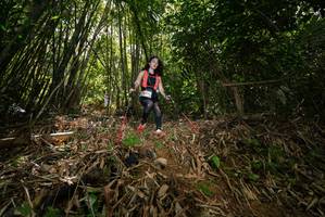 BIB: 
                            <button type="button" onclick="openModal(21735277)" class="btn btn-primary btn-sm float-right btn-popup" data-toggle="modal" data-target=".modal-high-quality">
                        <i class="fas fa-shopping-cart"></i> Add to Cart
                    </button>
                                            <button type="button" onclick="isThisMe(21735277, true)" class="btn btn-success btn-sm float-right btn-popup btn-isme hidden" data-toggle="tooltip" data-placement="bottom" title="นี่คือรูปของคุณใช่ไหม คลิกที่นี่เพื่อเอาเข้าอัลบั้ม">
                        <i class="fas fa-plus"></i> Add to album
                    </button>
                    <button type="button" onclick="isThisMe(21735277, false)" class="btn btn-warning btn-sm float-right btn-popup btn-isnotme hidden">
                        <i class="fas fa-ban"></i> Remove from album
                    </button>