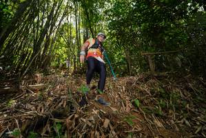 BIB: 
                            <button type="button" onclick="openModal(21735766)" class="btn btn-primary btn-sm float-right btn-popup" data-toggle="modal" data-target=".modal-high-quality">
                        <i class="fas fa-shopping-cart"></i> Add to Cart
                    </button>
                                            <button type="button" onclick="isThisMe(21735766, true)" class="btn btn-success btn-sm float-right btn-popup btn-isme hidden" data-toggle="tooltip" data-placement="bottom" title="นี่คือรูปของคุณใช่ไหม คลิกที่นี่เพื่อเอาเข้าอัลบั้ม">
                        <i class="fas fa-plus"></i> Add to album
                    </button>
                    <button type="button" onclick="isThisMe(21735766, false)" class="btn btn-warning btn-sm float-right btn-popup btn-isnotme hidden">
                        <i class="fas fa-ban"></i> Remove from album
                    </button>