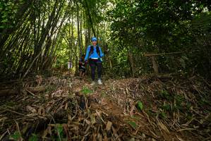 BIB: 
                            <button type="button" onclick="openModal(21736564)" class="btn btn-primary btn-sm float-right btn-popup" data-toggle="modal" data-target=".modal-high-quality">
                        <i class="fas fa-shopping-cart"></i> Add to Cart
                    </button>
                                            <button type="button" onclick="isThisMe(21736564, true)" class="btn btn-success btn-sm float-right btn-popup btn-isme hidden" data-toggle="tooltip" data-placement="bottom" title="นี่คือรูปของคุณใช่ไหม คลิกที่นี่เพื่อเอาเข้าอัลบั้ม">
                        <i class="fas fa-plus"></i> Add to album
                    </button>
                    <button type="button" onclick="isThisMe(21736564, false)" class="btn btn-warning btn-sm float-right btn-popup btn-isnotme hidden">
                        <i class="fas fa-ban"></i> Remove from album
                    </button>