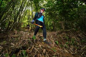 BIB: 
                            <button type="button" onclick="openModal(21736112)" class="btn btn-primary btn-sm float-right btn-popup" data-toggle="modal" data-target=".modal-high-quality">
                        <i class="fas fa-shopping-cart"></i> Add to Cart
                    </button>
                                            <button type="button" onclick="isThisMe(21736112, true)" class="btn btn-success btn-sm float-right btn-popup btn-isme hidden" data-toggle="tooltip" data-placement="bottom" title="นี่คือรูปของคุณใช่ไหม คลิกที่นี่เพื่อเอาเข้าอัลบั้ม">
                        <i class="fas fa-plus"></i> Add to album
                    </button>
                    <button type="button" onclick="isThisMe(21736112, false)" class="btn btn-warning btn-sm float-right btn-popup btn-isnotme hidden">
                        <i class="fas fa-ban"></i> Remove from album
                    </button>