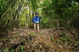 BIB: 
                            <button type="button" onclick="openModal(21736619)" class="btn btn-primary btn-sm float-right btn-popup" data-toggle="modal" data-target=".modal-high-quality">
                        <i class="fas fa-shopping-cart"></i> Add to Cart
                    </button>
                                            <button type="button" onclick="isThisMe(21736619, true)" class="btn btn-success btn-sm float-right btn-popup btn-isme hidden" data-toggle="tooltip" data-placement="bottom" title="นี่คือรูปของคุณใช่ไหม คลิกที่นี่เพื่อเอาเข้าอัลบั้ม">
                        <i class="fas fa-plus"></i> Add to album
                    </button>
                    <button type="button" onclick="isThisMe(21736619, false)" class="btn btn-warning btn-sm float-right btn-popup btn-isnotme hidden">
                        <i class="fas fa-ban"></i> Remove from album
                    </button>