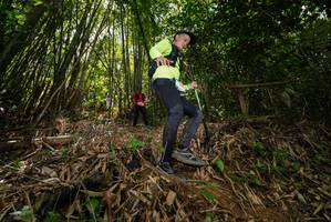 BIB: 
                            <button type="button" onclick="openModal(21735669)" class="btn btn-primary btn-sm float-right btn-popup" data-toggle="modal" data-target=".modal-high-quality">
                        <i class="fas fa-shopping-cart"></i> Add to Cart
                    </button>
                                            <button type="button" onclick="isThisMe(21735669, true)" class="btn btn-success btn-sm float-right btn-popup btn-isme hidden" data-toggle="tooltip" data-placement="bottom" title="นี่คือรูปของคุณใช่ไหม คลิกที่นี่เพื่อเอาเข้าอัลบั้ม">
                        <i class="fas fa-plus"></i> Add to album
                    </button>
                    <button type="button" onclick="isThisMe(21735669, false)" class="btn btn-warning btn-sm float-right btn-popup btn-isnotme hidden">
                        <i class="fas fa-ban"></i> Remove from album
                    </button>