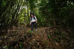 BIB: 
                            <button type="button" onclick="openModal(21735586)" class="btn btn-primary btn-sm float-right btn-popup" data-toggle="modal" data-target=".modal-high-quality">
                        <i class="fas fa-shopping-cart"></i> Add to Cart
                    </button>
                                            <button type="button" onclick="isThisMe(21735586, true)" class="btn btn-success btn-sm float-right btn-popup btn-isme hidden" data-toggle="tooltip" data-placement="bottom" title="นี่คือรูปของคุณใช่ไหม คลิกที่นี่เพื่อเอาเข้าอัลบั้ม">
                        <i class="fas fa-plus"></i> Add to album
                    </button>
                    <button type="button" onclick="isThisMe(21735586, false)" class="btn btn-warning btn-sm float-right btn-popup btn-isnotme hidden">
                        <i class="fas fa-ban"></i> Remove from album
                    </button>